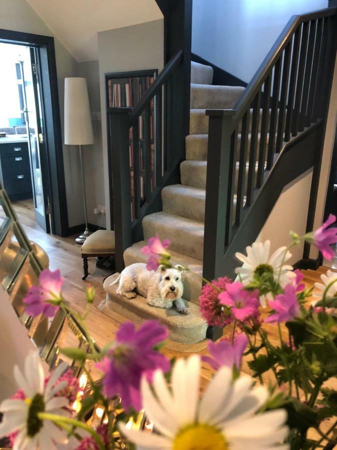 The Niche Bed & Breakfast Eastbourne Eksteriør bilde